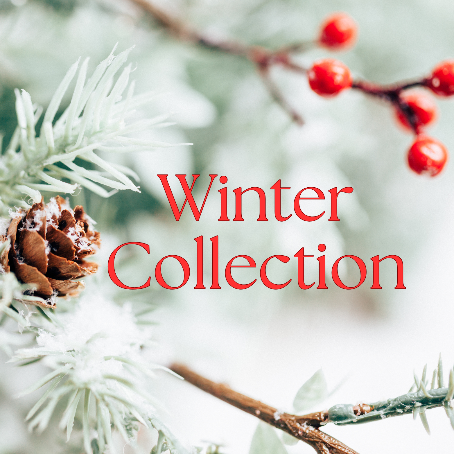 Winter Collection