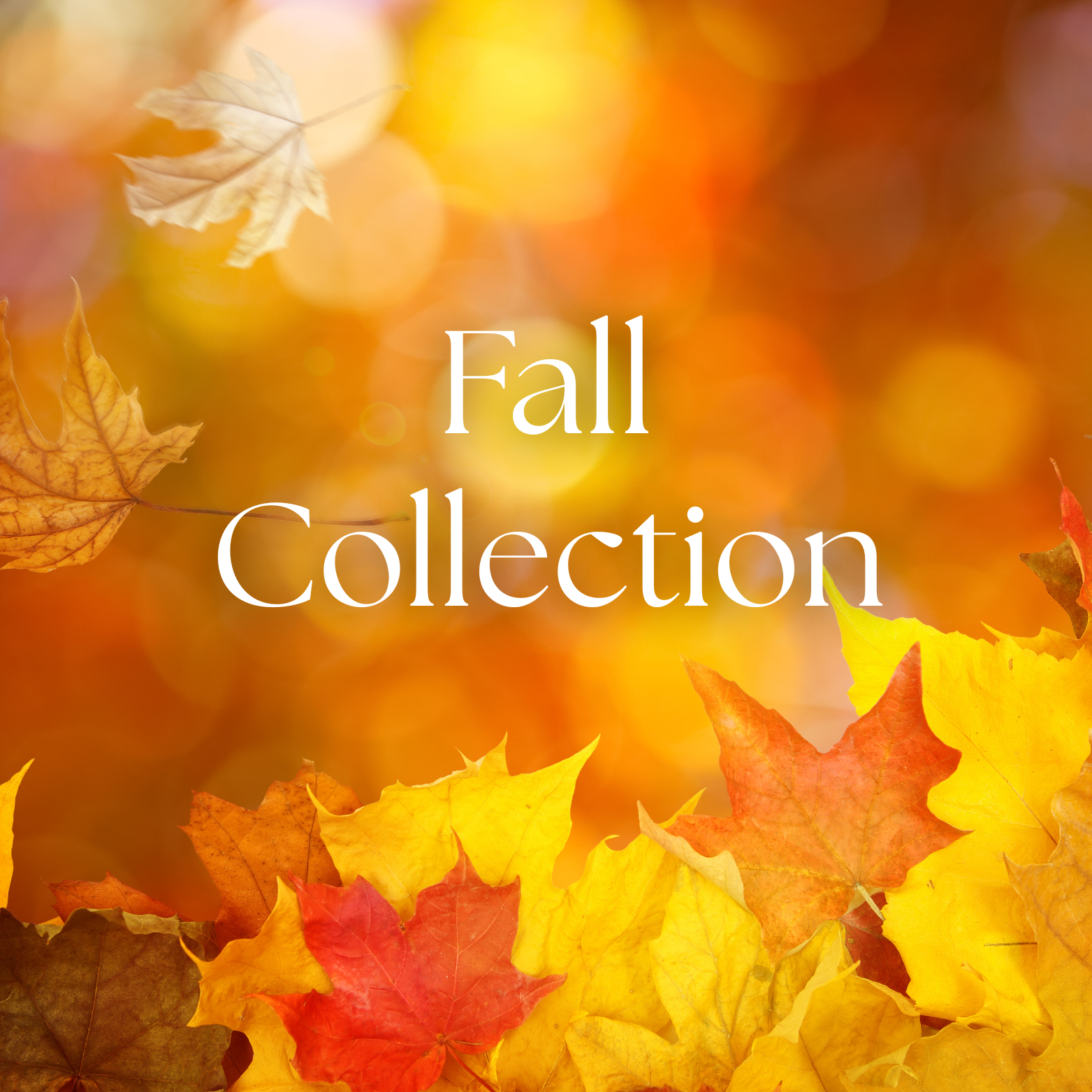 Fall Collection