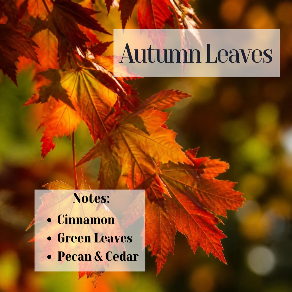 Autumn Leaves- 3 Wick Soy Candle