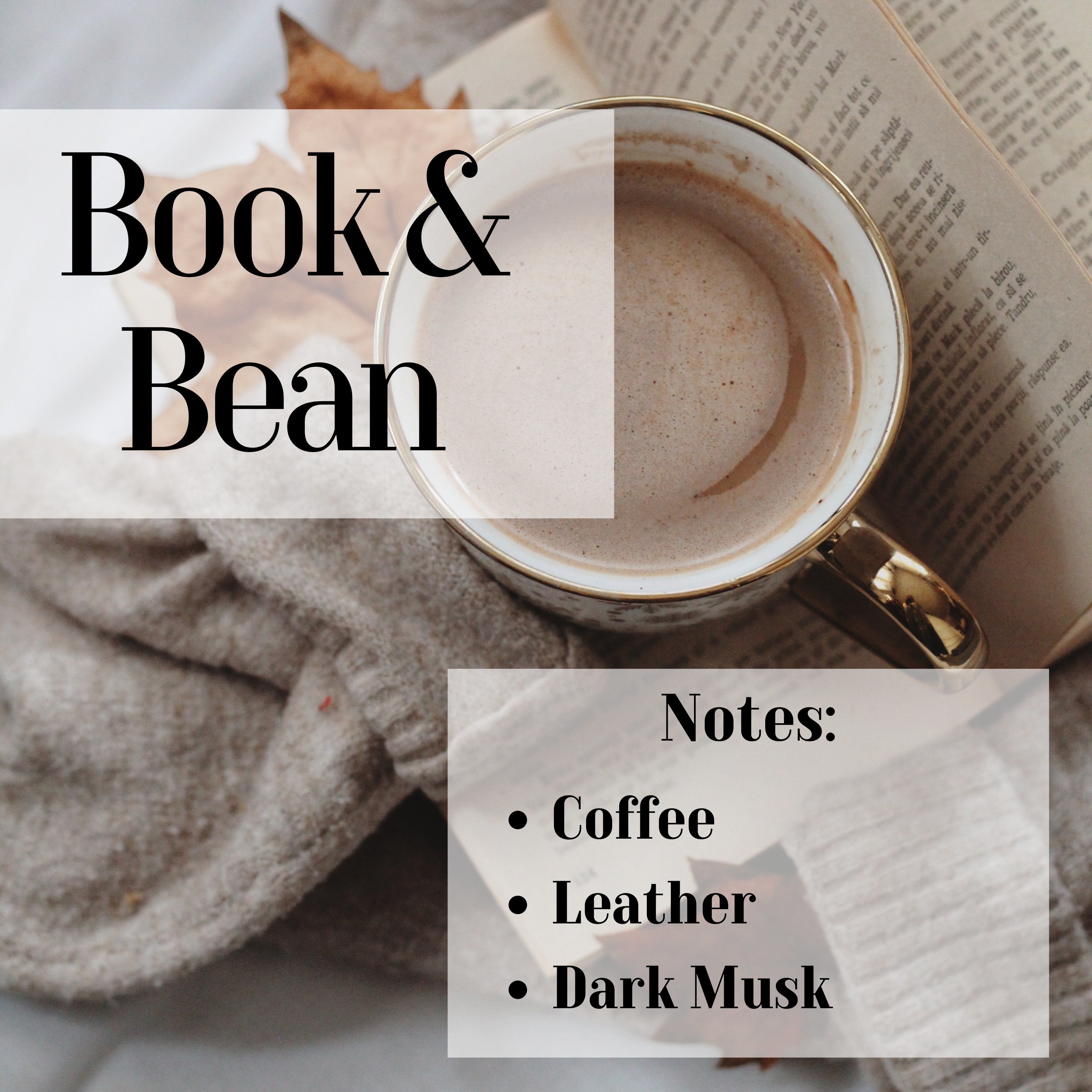 Book & Bean- 3 Wick Scented Soy Candle