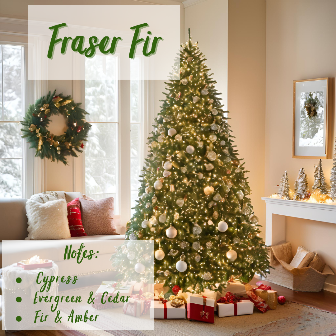 Fraser Fir- 3 Wick Scented Soy Candle