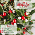 Mistletoe- 3 Wick Soy Candle