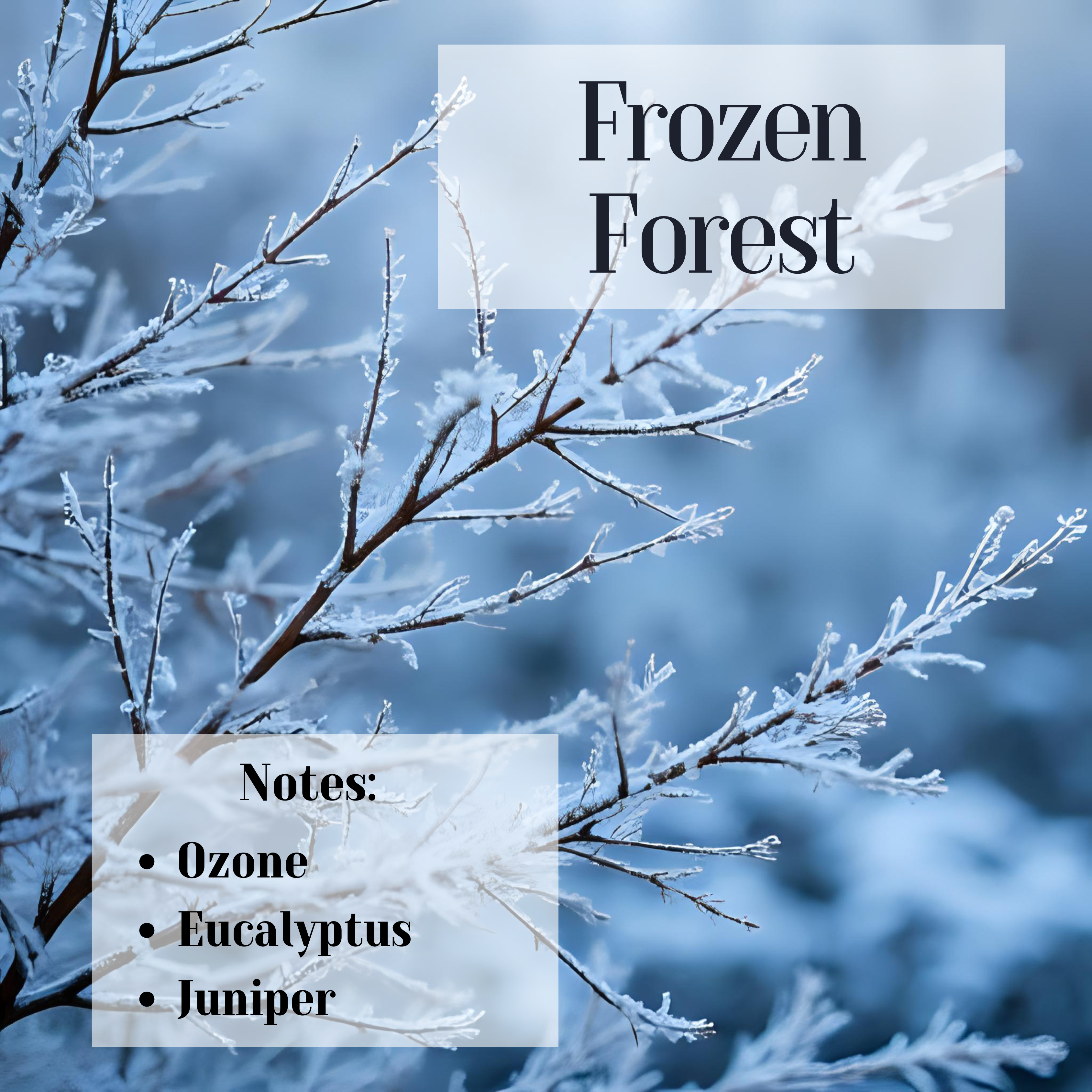 Frozen Forest- 3 Wick Scented soy Candle