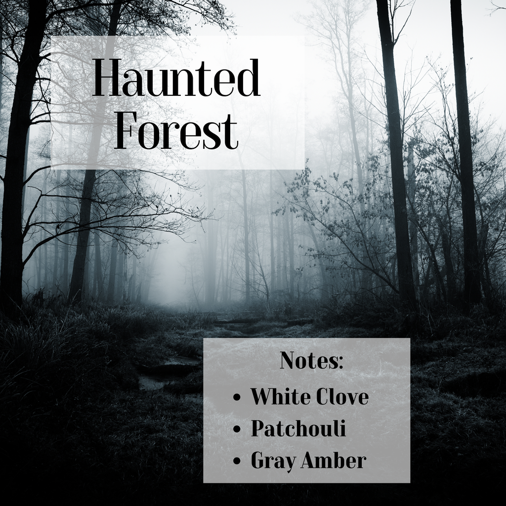 Haunted Forest- 3 wick Scented Soy Candle