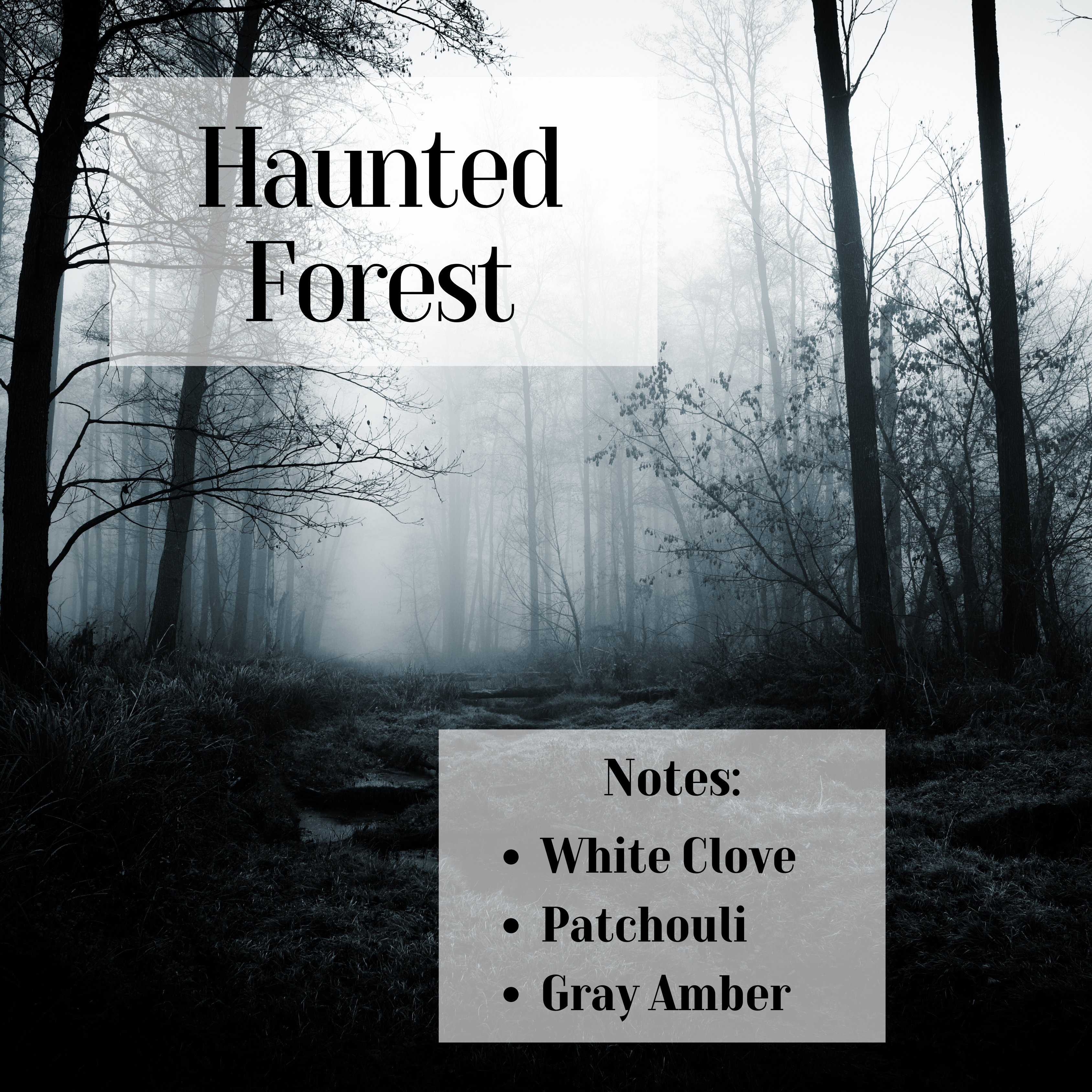 Haunted Forest- 3 wick Scented Soy Candle