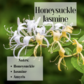 Honeysuckle Jasmine- 3 Wick Scented Soy Candle