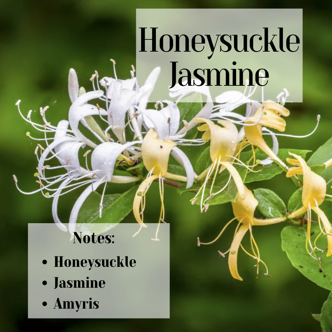 Honeysuckle Jasmine- 3 Wick Scented Soy Candle