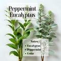 Peppermint Eucalyptus- 3 Wick Scented Soy Candle